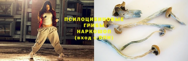 ешки Дубовка